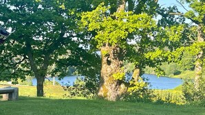 Uklassifisert bilde, 5 av 37, knapp