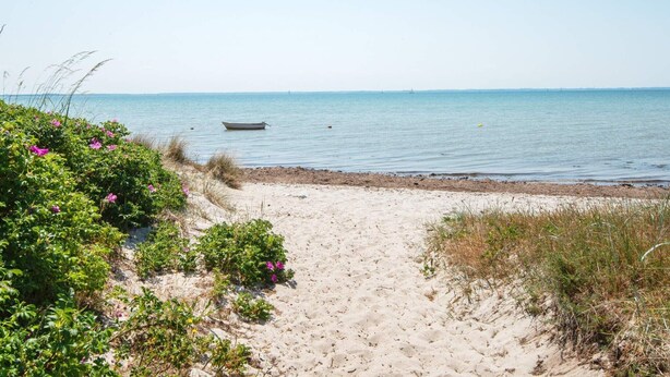 En sandstrand med en båt i vattnet, omgiven av grönska och blommor.