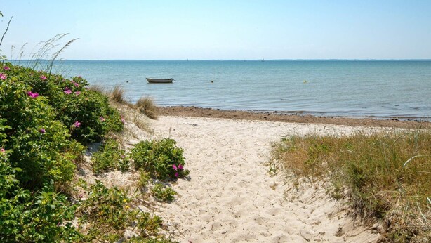 A sandy beach with a boat in the water, surrounded by greenery and flowers. - 6 Person Holiday Home in Sydals (Sydals)