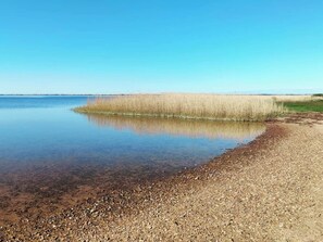 House | Water view