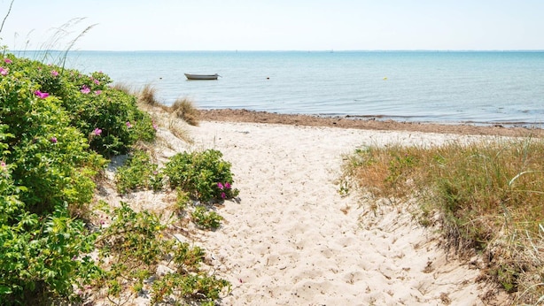 En sandstrand med en båd i vandet og vegetation langs kysten.