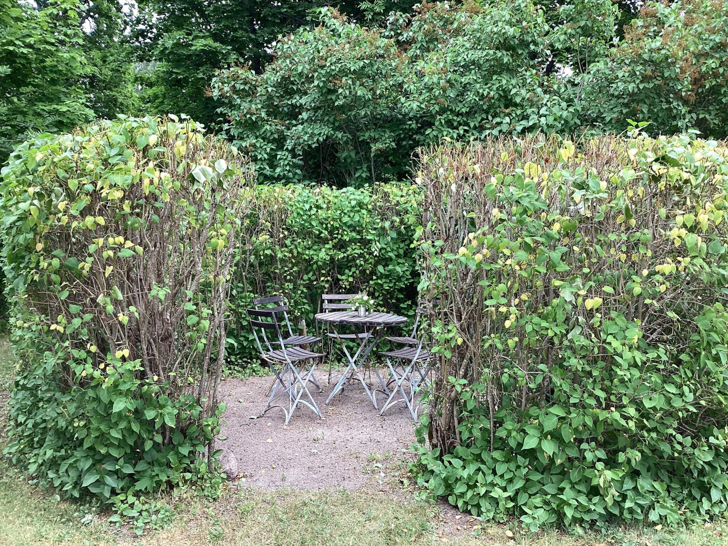 A garden with a metal table and chairs, surrounded by dense foliage.