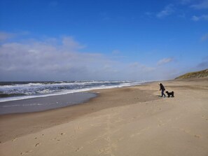 A wide sandy beach with waves, a clear sky, and a person walking a dog. - 8 Person Holiday Home in Ulfborg (Ulfborg)