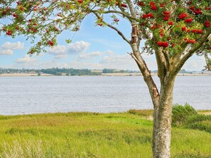 A tree with red flowers by a calm lake. - 5 Person Holiday Home in Jaegerspris (Jægerspris)