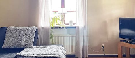 A living room with a sofa, a television on a stand, a window with curtains, and a radiator.