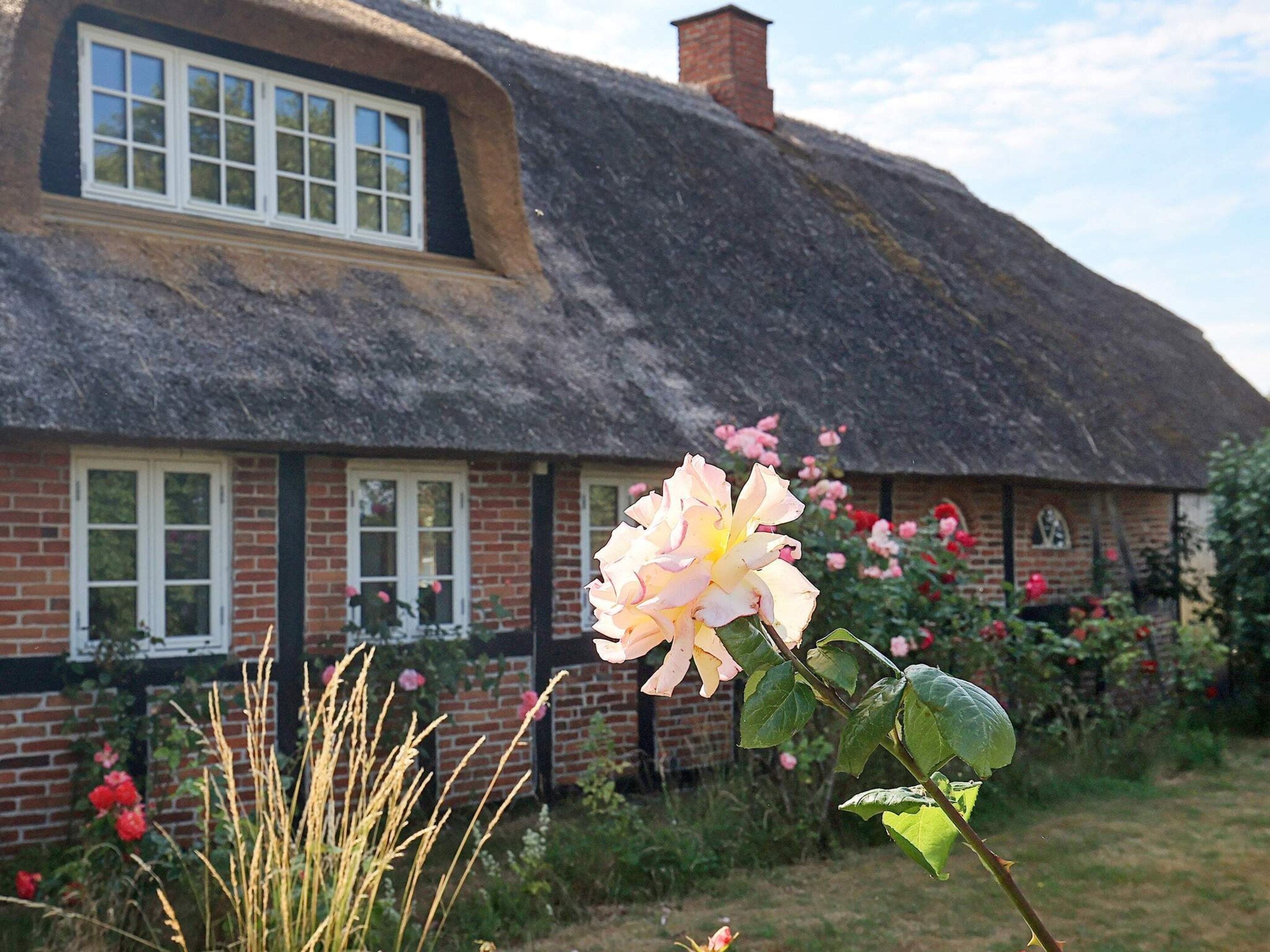 House | View from property