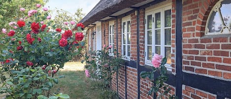 A traditional brick house with a thatched roof and a garden with blooming roses.