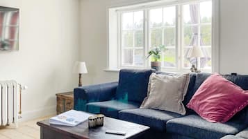 Un salon avec un canapé bleu, une table basse en bois, un radiateur et une fenêtre avec des rideaux.