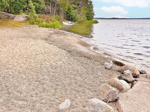 A sandy beach with scattered rocks and dense trees in the background.
