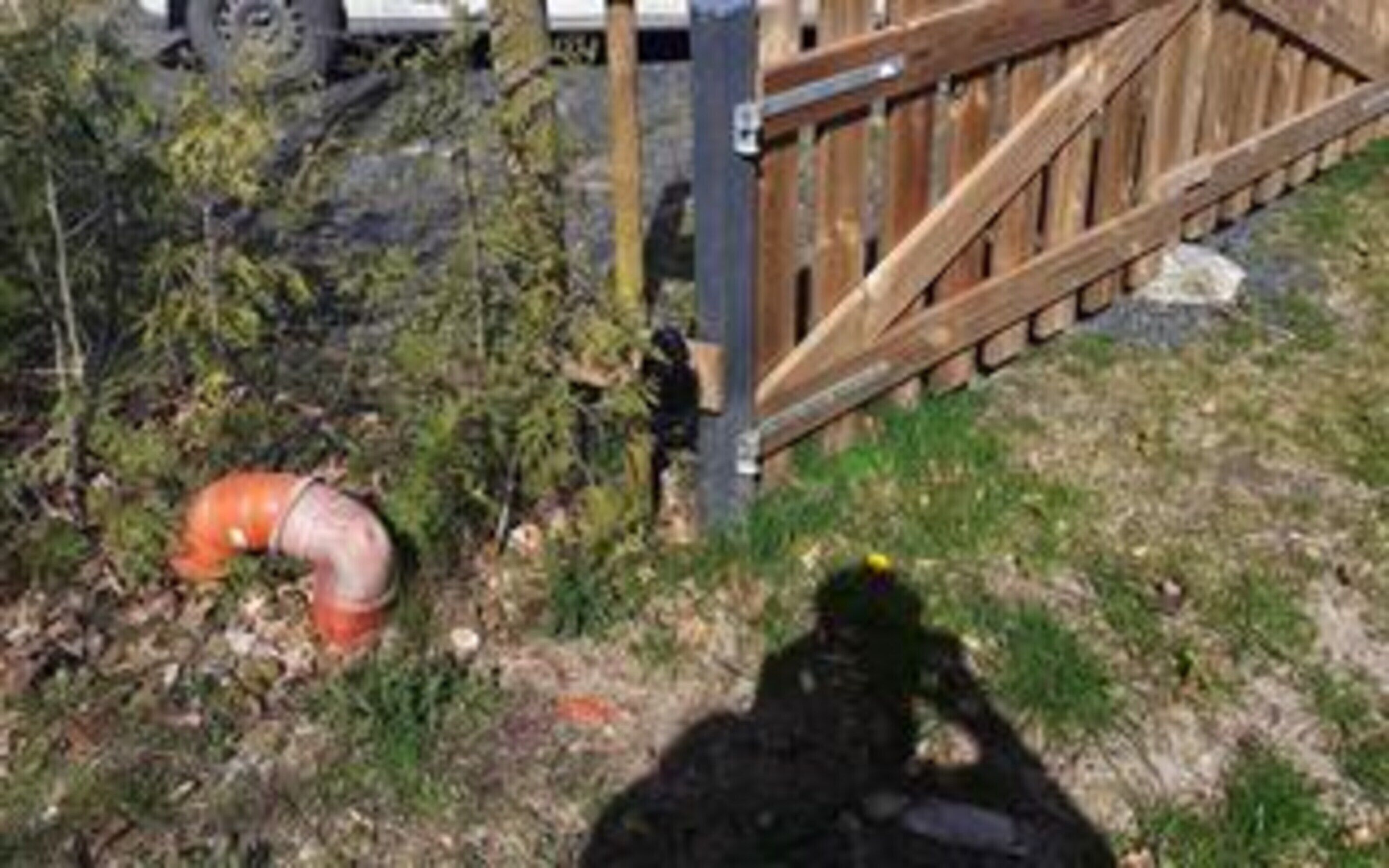 House | Property grounds