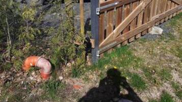 House | Property grounds