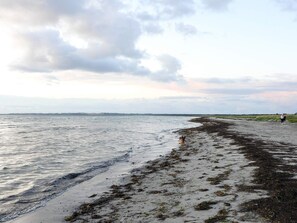 Une plage où un chien se promène le long du rivage, une personne se tenant au loin et une rangée d’arbres en arrière-plan.