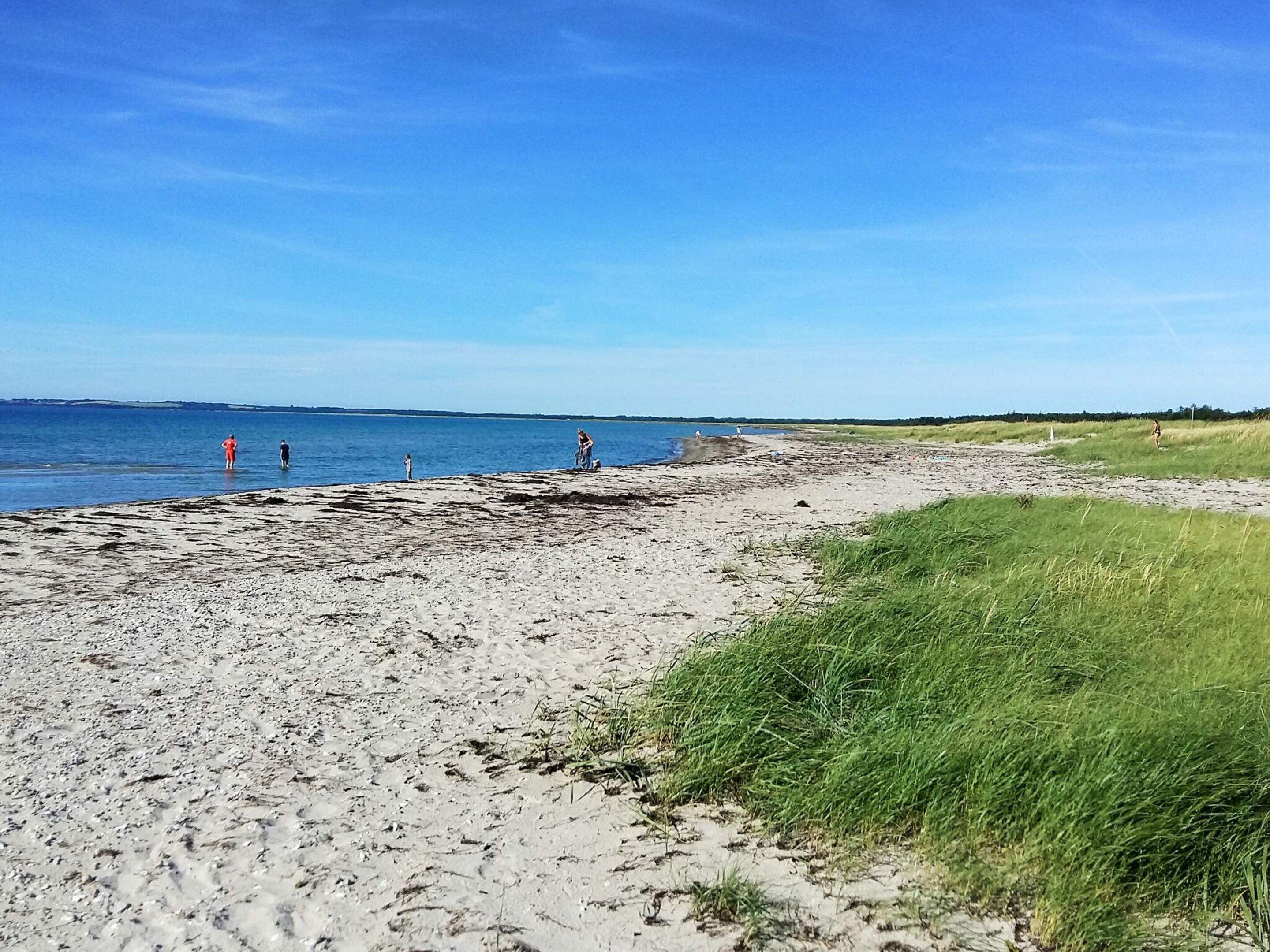 En sandstrand med en græsplæne og en klar blå himmel.