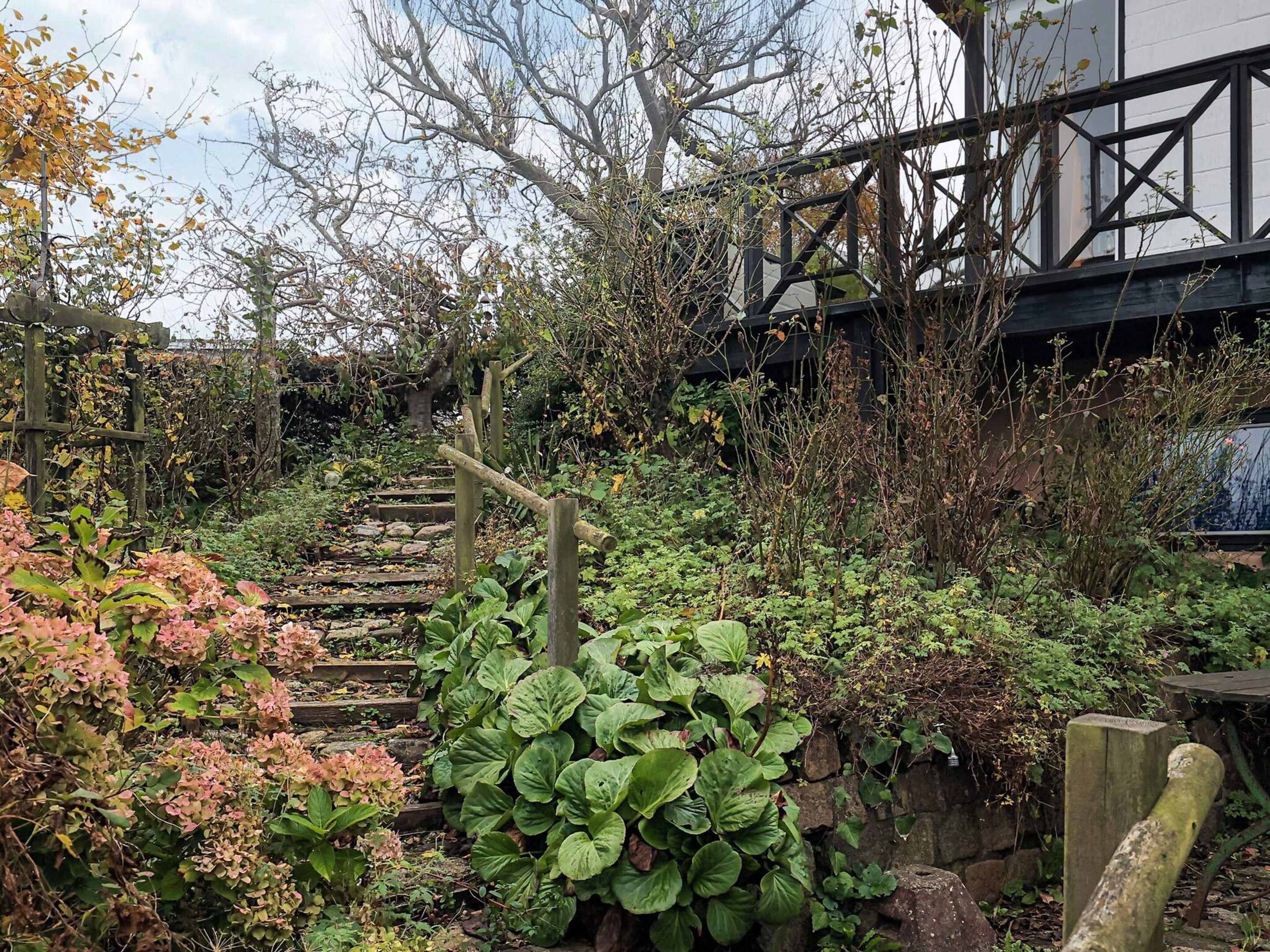 A garden with a wooden staircase surrounded by various plants and a stone wall.