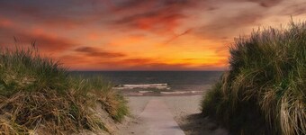 20 Person Holiday Home in Saeby