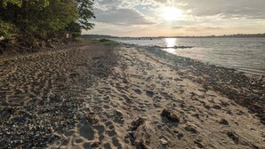 A beach with pebbles and seaweed, a pier in the distance, and trees along the shore.
