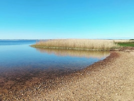 Un lago tranquillo con una riva ciottolosa e alte erbe sullo sfondo.