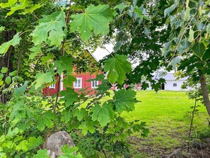 Hus | Eksteriør