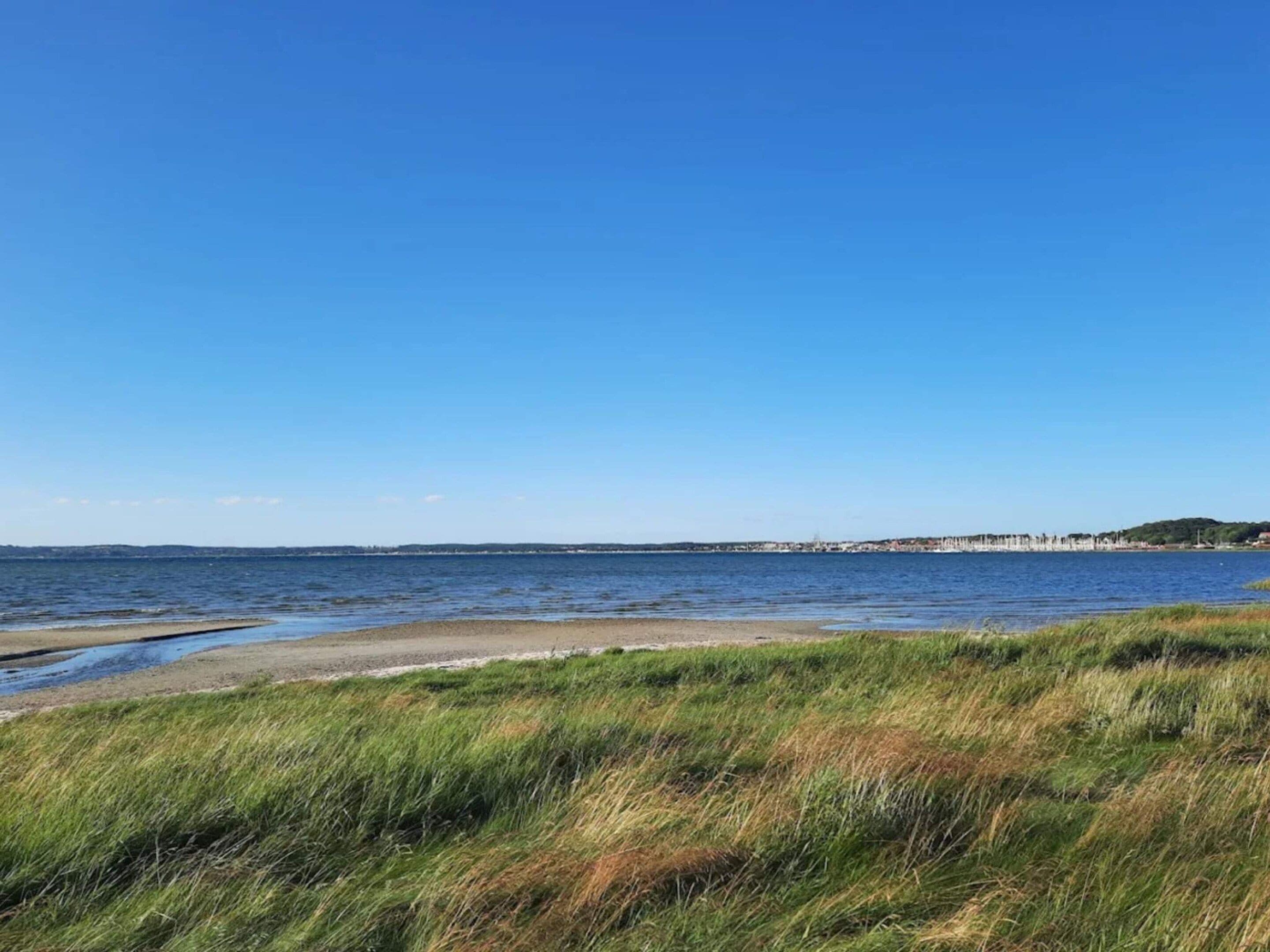 A coastal landscape with a clear sky, a sandy beach, and a grassy foreground.