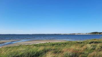 A coastal landscape with a clear sky, a sandy beach, and a grassy foreground.