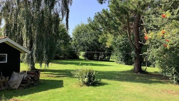 A grassy outdoor area with a small shed, trees, and a clear sky.