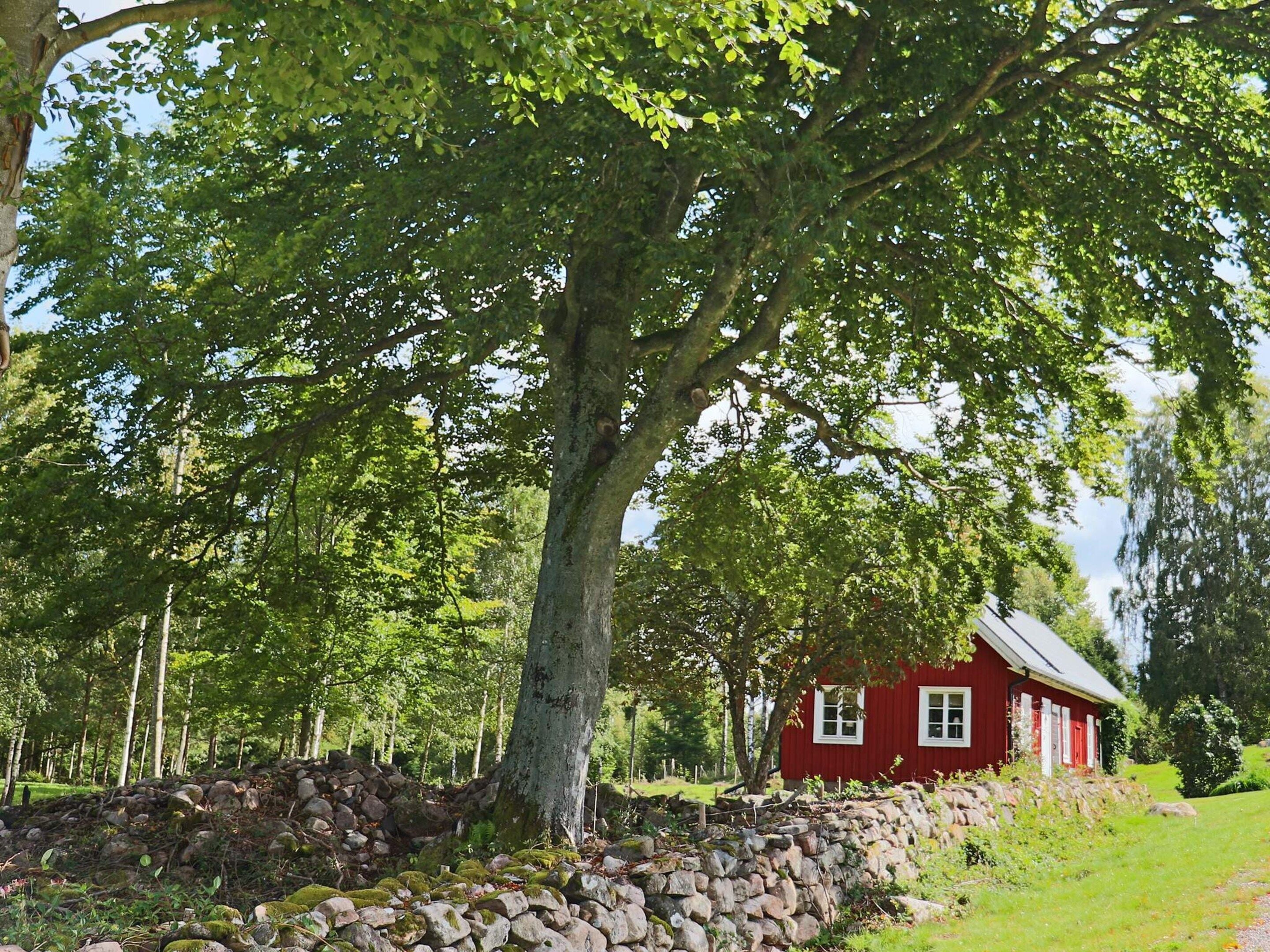 A red house with a stone wall and a large tree in front.