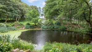 Een rustig vijver omgeven door weelderige begroeiing en bomen, met een kioskachtige constructie op de achtergrond.