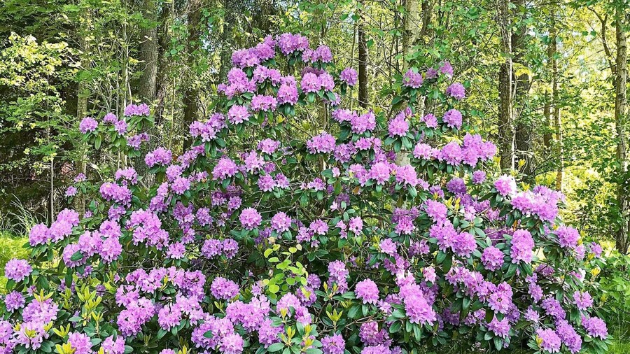 4 Person Holiday Home in Rimbo-by Traum