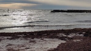 A beach with rough waves and a rocky breakwater in the distance.