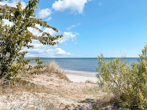 Une plage de sable, avec une végétation clairsemée et un ciel dégagé.