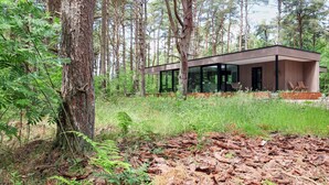 Una cabaña moderna en un bosque con ventanas amplias, rodeada de altos árboles y maleza densa.