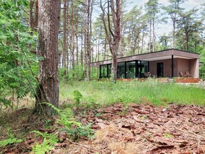 Una cabaña moderna en un bosque con ventanas amplias, rodeada de altos árboles y maleza densa.