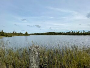 A calm lake with a wooden post in the foreground and a forested shoreline in the background. - 6 Person Holiday Home in Asarum (Asarum)