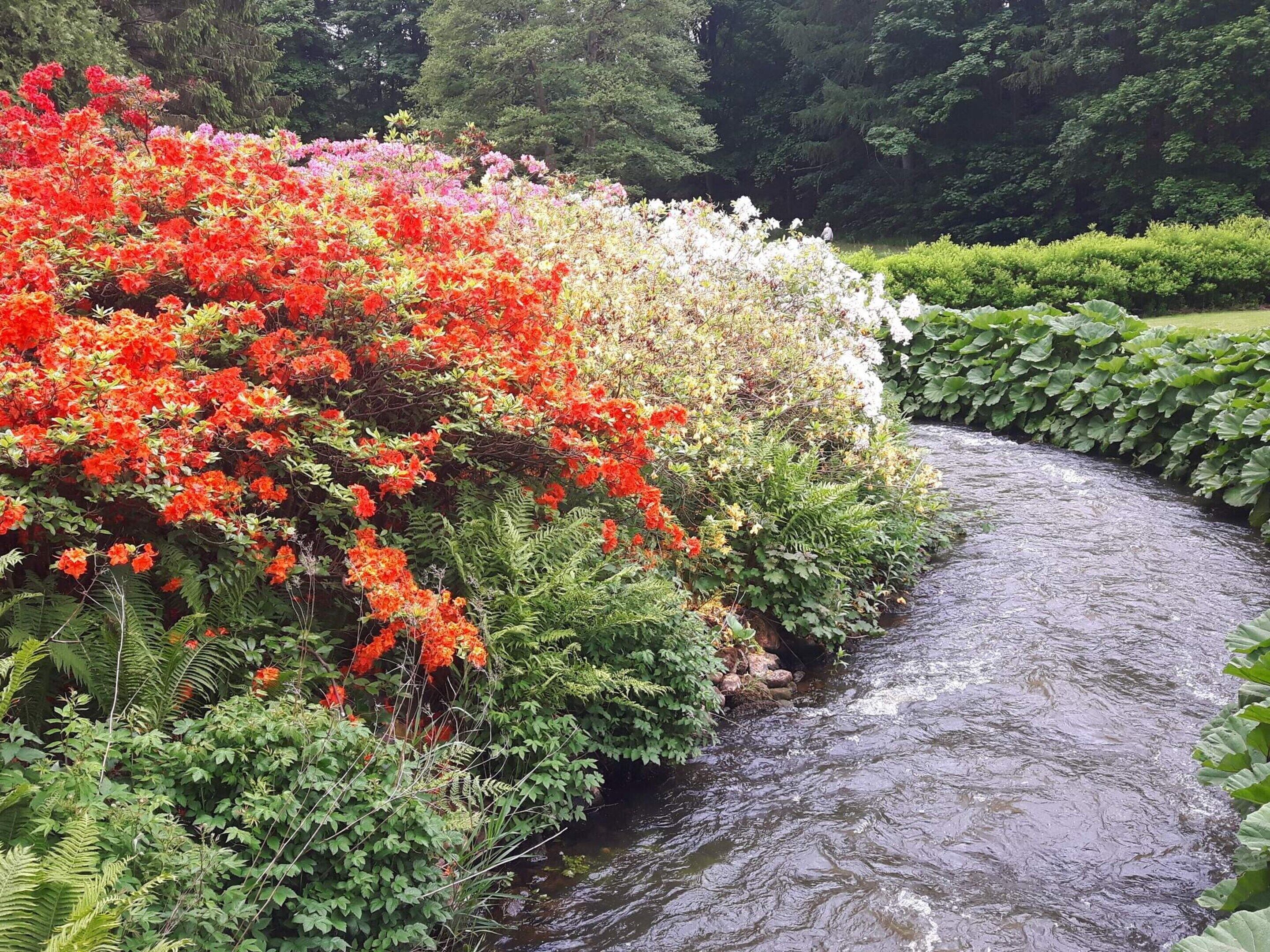 House | Property grounds