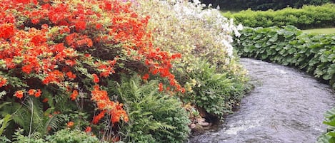 House | Property grounds