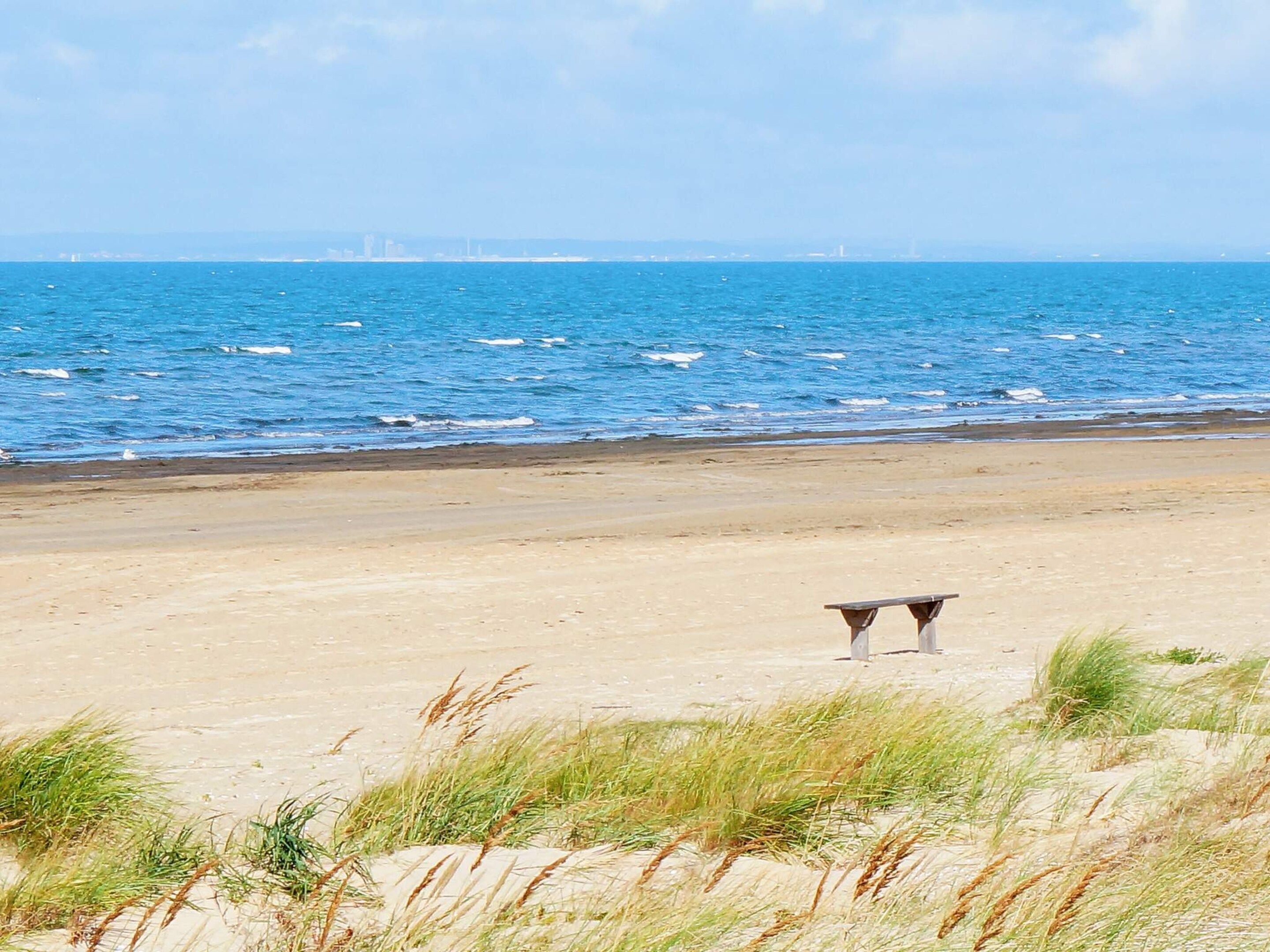 A beach with a bench and dunes.