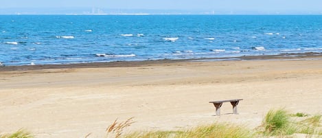 A beach with a bench and dunes.