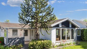 Una casa a un piano con un grande albero di fronte, un portico coperto e un cielo sereno.