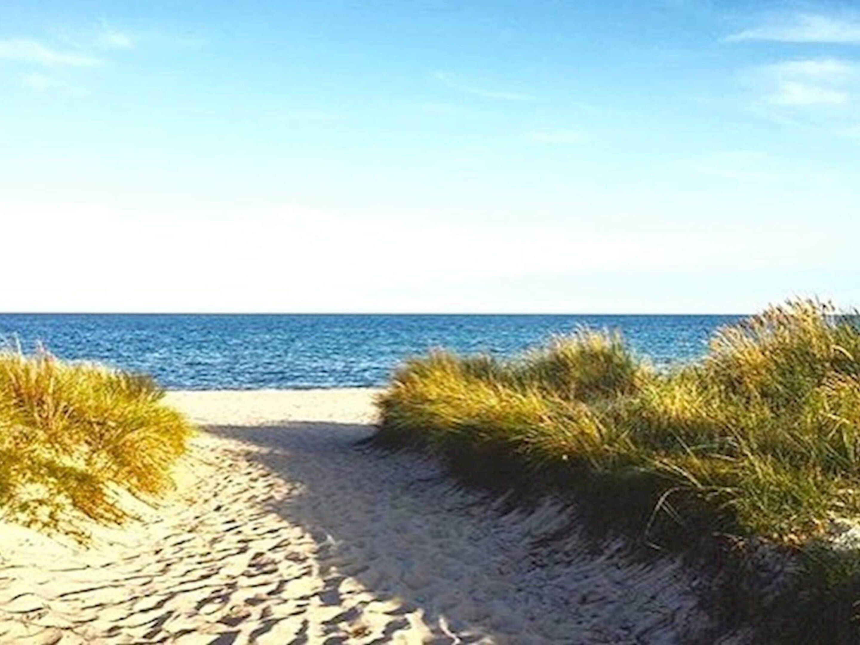 A sandy beach path with grass on either side leading to the ocean.
