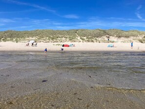 A beach with clear shallow waters, sandy shore, and dunes in the background. - 5 Star Holiday Home in Albaek (Aalbaek)