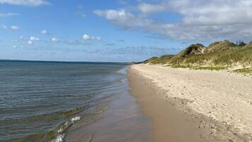 Ein sandiger Strand mit sanften Wellen, grasbewachsenen Dünen und blauem Himmel.