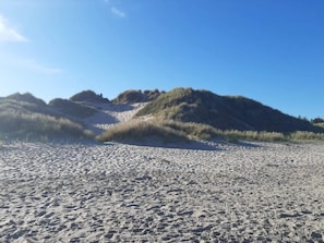 House | Miscellaneous - 5 Star Holiday Home in Albaek (Aalbaek)
