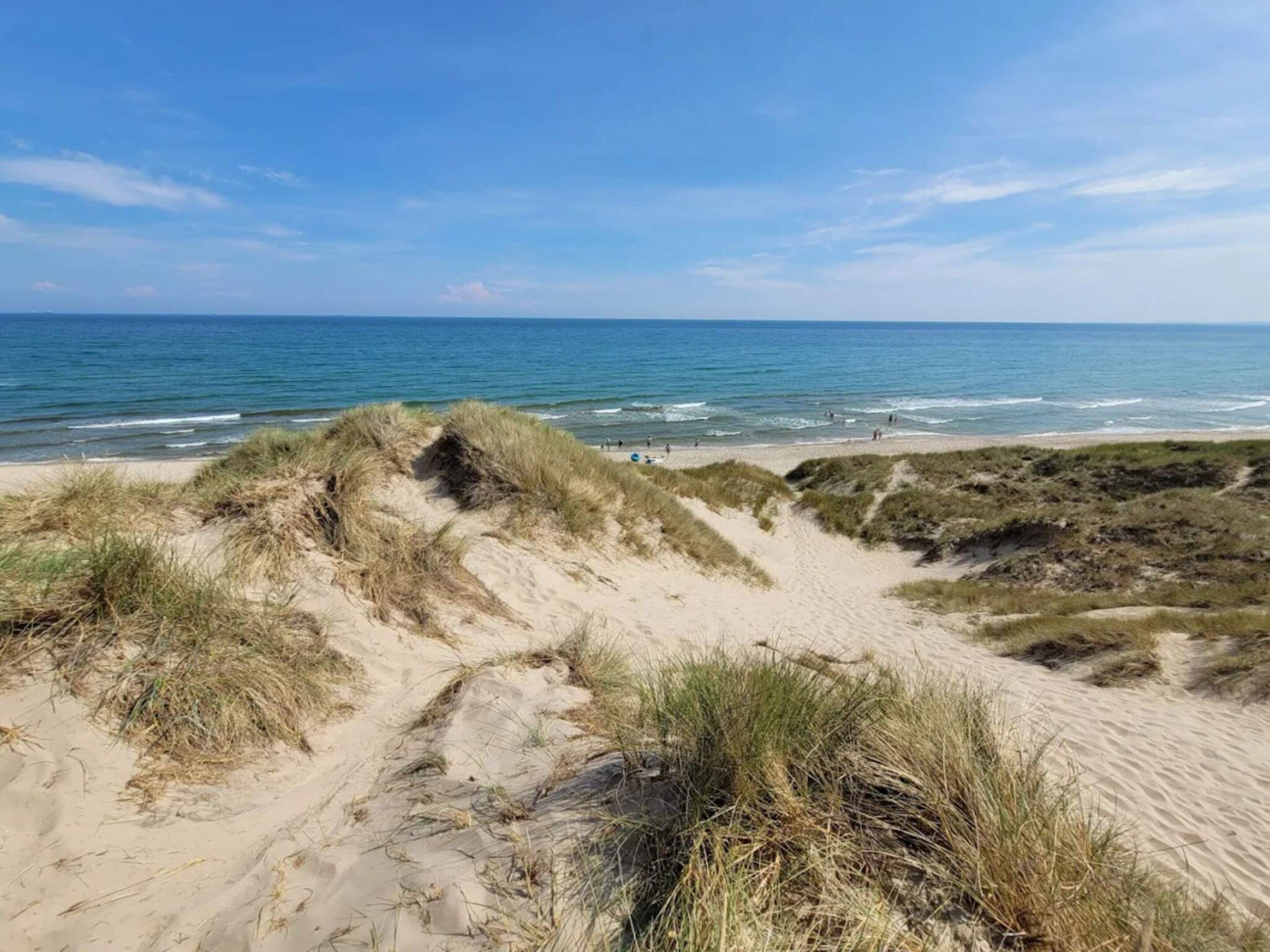 En strand med klitter og havet i baggrunden.