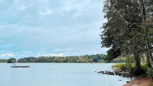 Vista de un lago con un muelle, agua tranquila y una orilla bordeada de bosque.