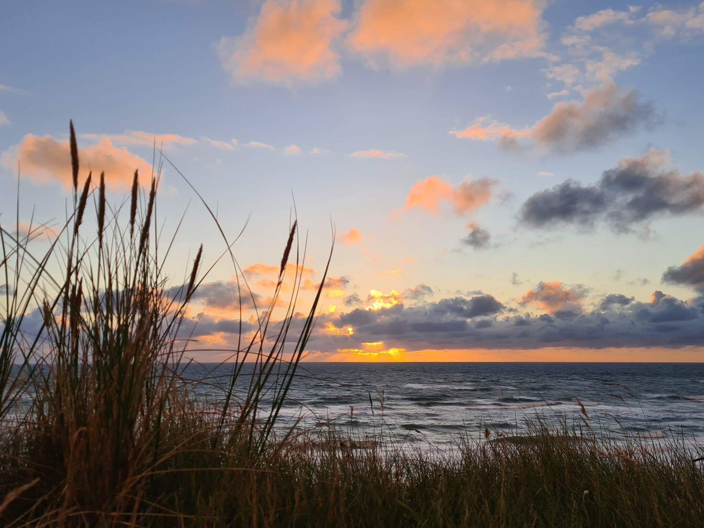Un paisaje costero con pasto en primer plano y un atardecer sobre el océano.
