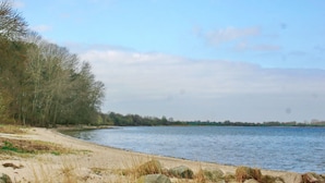 A sandy beach with rocks and sparse vegetation, a calm body of water, and a line of trees in the background. - 6 Person Holiday Home in Karrebaeksminde (Karrebæksminde)