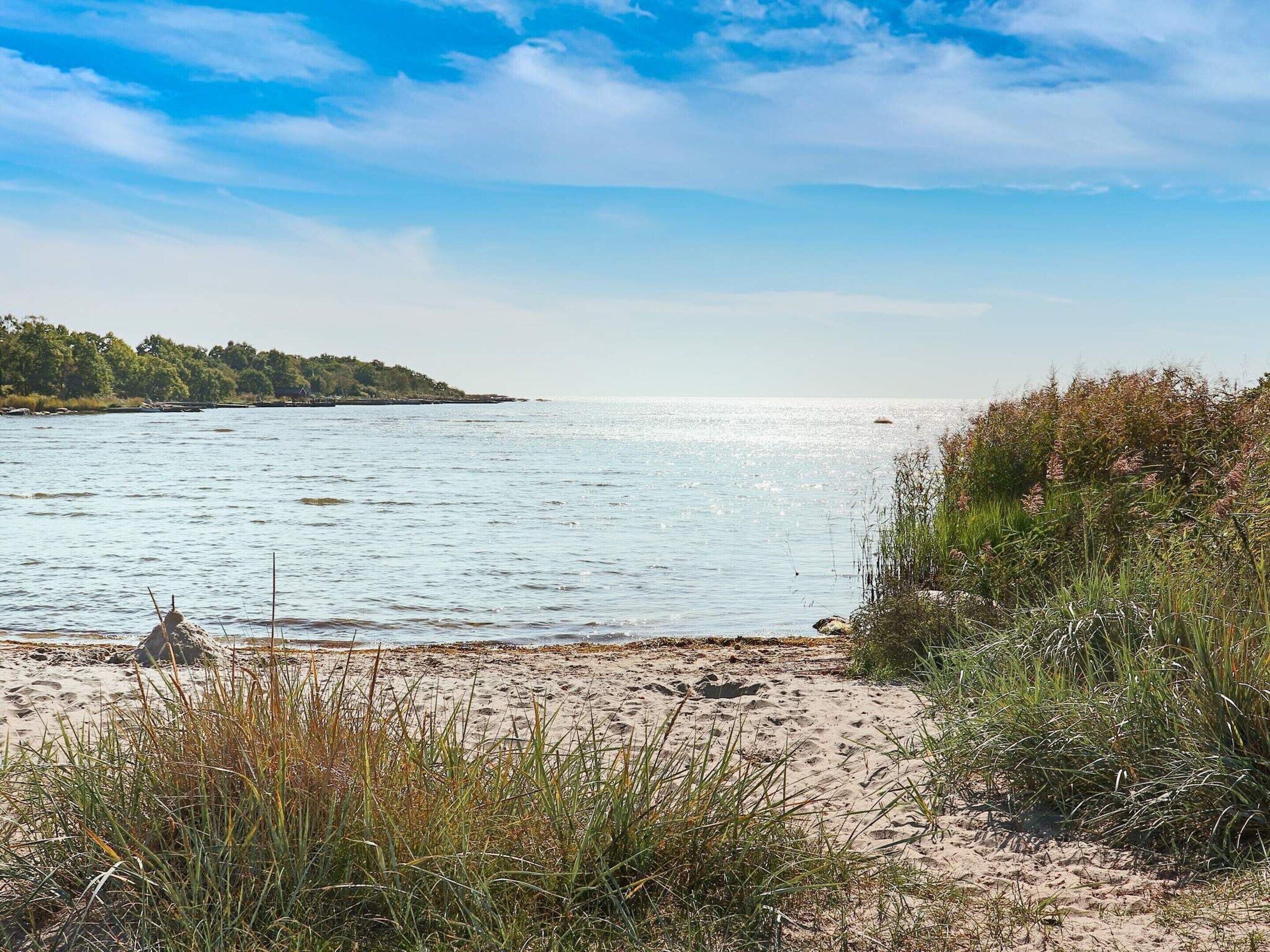 House | 4 bedrooms, individually furnished