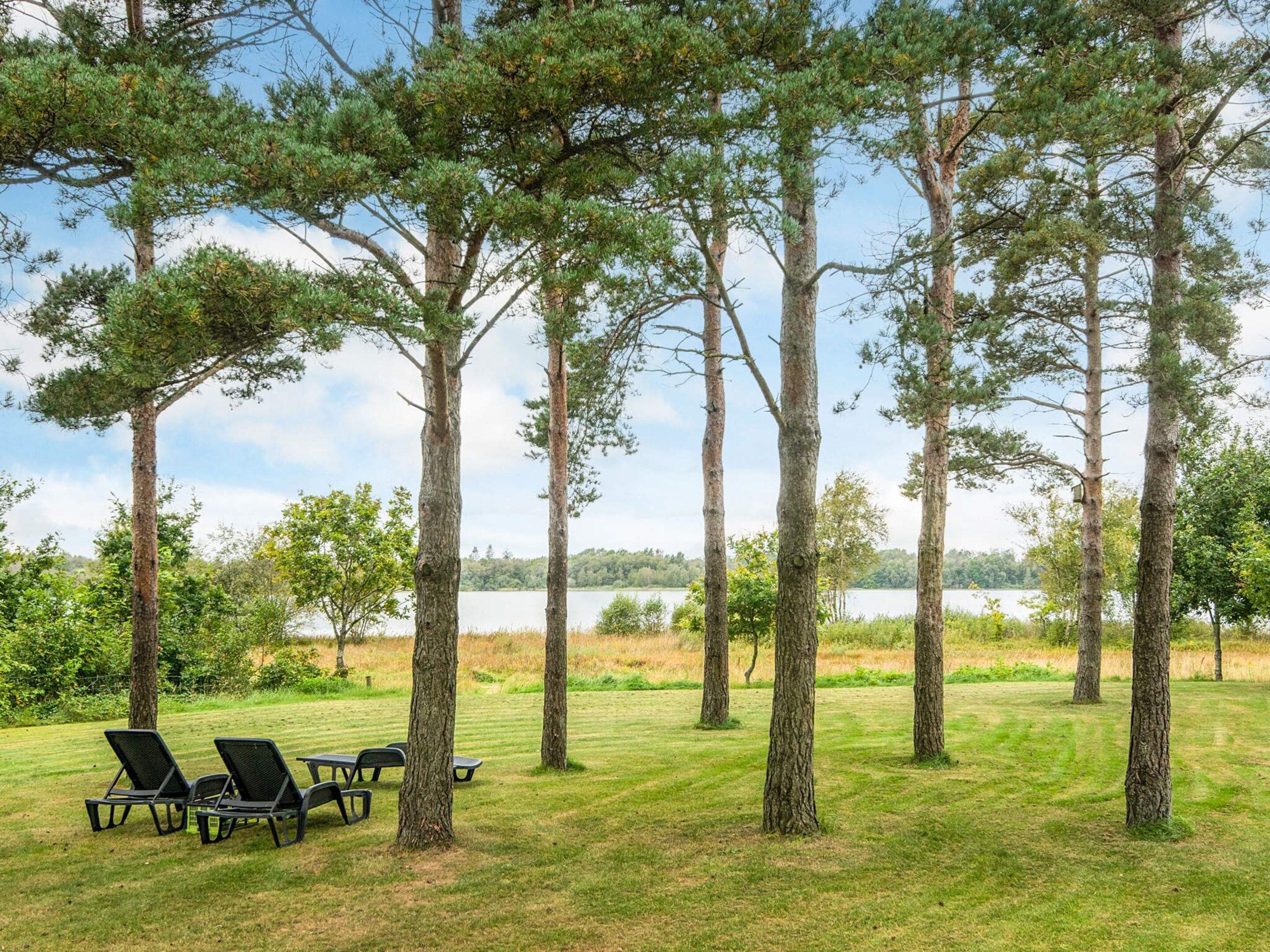 A serene outdoor area with tall trees, a grassy lawn, and a body of water in the background.
