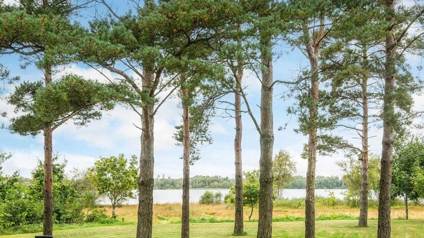 A serene outdoor area with tall trees, a grassy lawn, and a body of water in the background. - 4 Star Holiday Home in Ansager (Ansager)