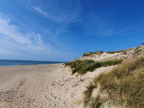 A sandy beach with dunes and sparse vegetation. - 4 Star Holiday Home in Ulfborg (Ulfborg)